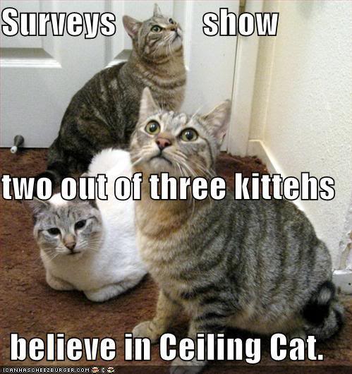 Ceiling Cat believe
