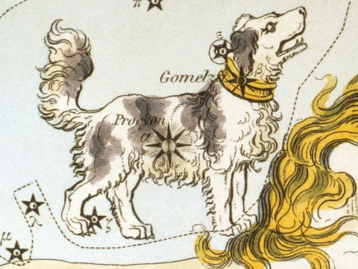 canis minor dog constellation