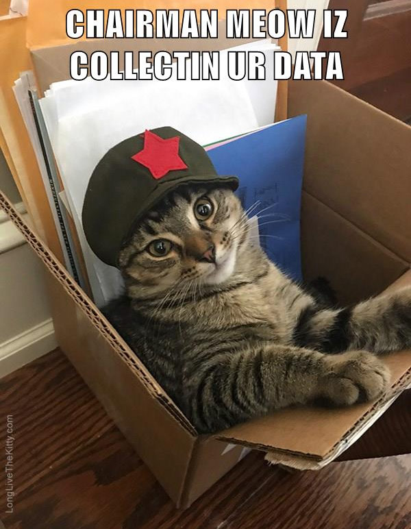 chairman meow collecting data