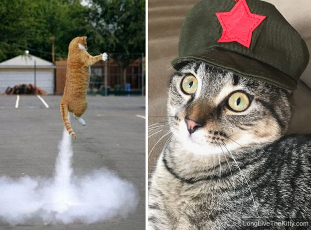 chairman meow missile test