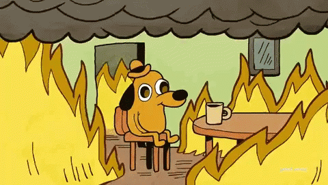 dog this is fine meme