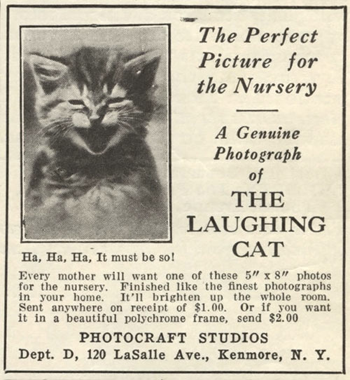 early lolcat poster