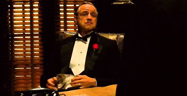 Don Corleone with cat